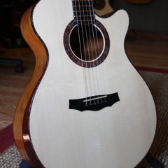 Williamsguitarsample