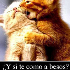 Arekoe-Diosa Venus Eras Mia