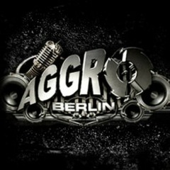 Sido & Kitty Kat & Fler & Tony D. ->> Aggro Collabo/Nicht Mit Mir 🅳🅹🅳`s Bootleg 🆁🅼🆇