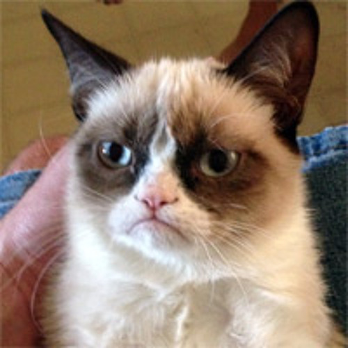 I made trap music once; It was awful