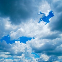 Caught a Lite Sneeze snippet