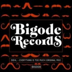 Diehl - Everything Is Too Much (Original Mix)