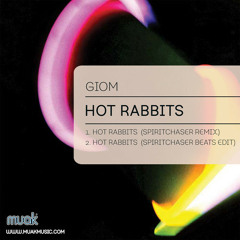 Giom - Hot Rabbits (Spiritchaser Remix)
