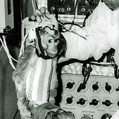 Plastic Drops - The Unbelievable Trip of a Space Monkey (live in Koza bar)