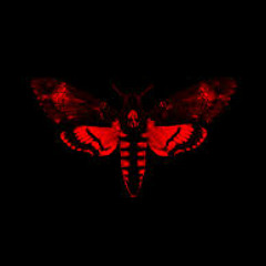 Lil Wayne Wowzers Instrumental