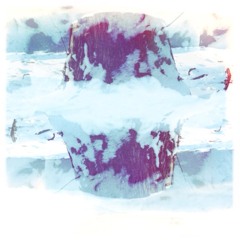 polarfocus