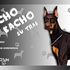 Kacho Kacho Su Tras || dVrse D'ux || HnlY