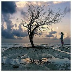 البرهة القليلة - فرفور