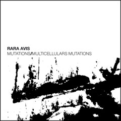 dEN015 RARA AVIS - Adaptation