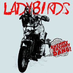 Shimmy Shimmy Dang! (Instrumental)