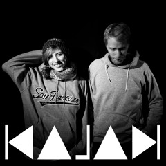 Phat Cat (V.Raeter Remix)