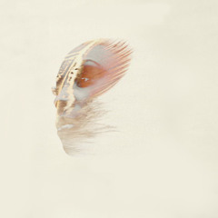 Laura Mvula - She (SN remix) - free download