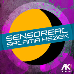 Sensoreal - Salama Hezek (Richard Scholtz Chleba Pecek Remix)