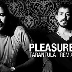 Pleasurekraft-Tarantula(AnDrOiD remix contest beatport)