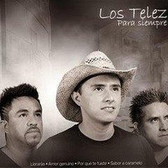 Porque Te Fuiste Los Telez