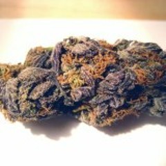 LOUD PACK BY SSR PROD.BY Sheff La