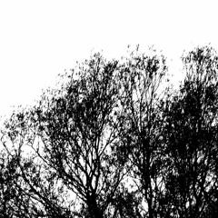 Szirom Szalon_Mood Indigo
