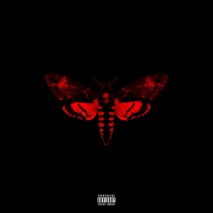 Lil Wayne - Trippy ft. Juicy J (I Am Not A Human Being 2) Courtney Hall Edit