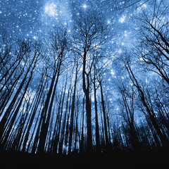 Cristian Onofreiciuc - Beyond the Stars