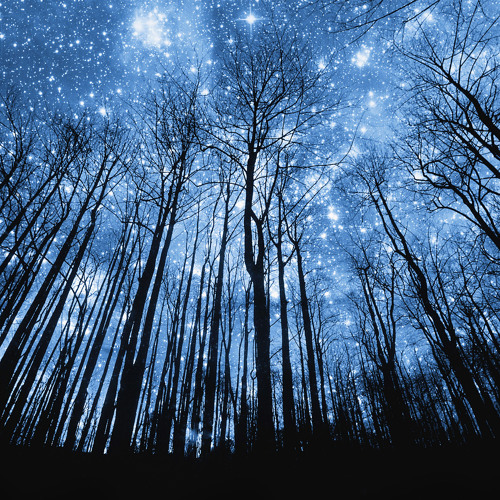 Cristian Onofreiciuc - Beyond the Stars