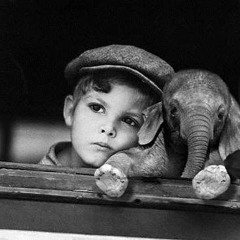 DESDE EL NIDO INTERIOR..