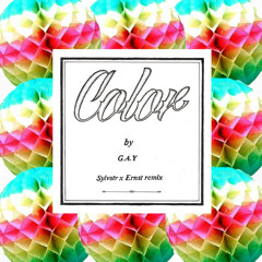 G.A.Y - Color (Sylvstr x Ernst Remix)