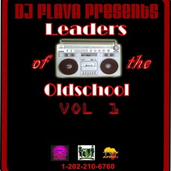 dj flava - leaders of oldschool
