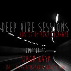 DE Radio // Deep Vibe Sessions EP 15 with SINAN KAYA (Beef Rec/Static Audio/Society 3.0)