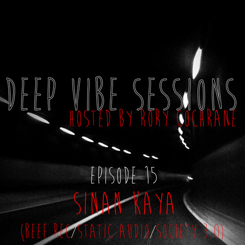 DE Radio // Deep Vibe Sessions EP 15 with SINAN KAYA (Beef Rec/Static Audio/Society 3.0)