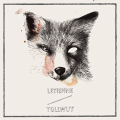 Clarinett Ist Fett (feat. Koellctronic) Snipped