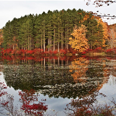 Tristan Murail / Seven lakes Drive