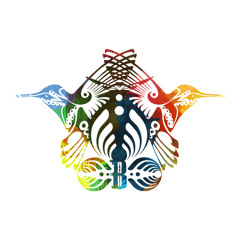 Bassnectar Opening Set