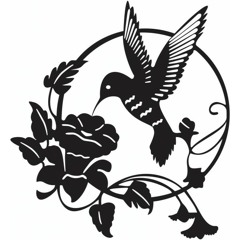 CANTO YAWANAWA - CACIQUE BIRA - FLOR DE JAGUBE
