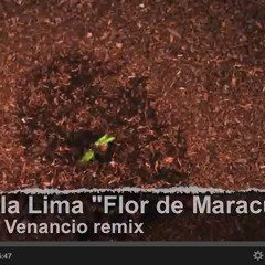 Paula Lima - Flor de Maracuja - Felipe Venancio Remix