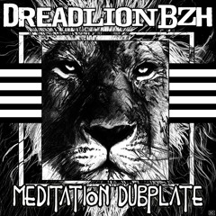 DreadLionBZH - RAGGA JUNGLER
