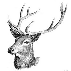 ERIC WOLVES - RUNNING AGROUND (LUCAS TESOIN REMIX)