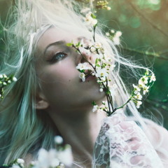 Olexa - Miss Spring