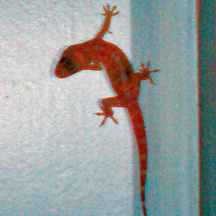 Tiga Nekra - Based On True Events