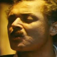 الكيت كات