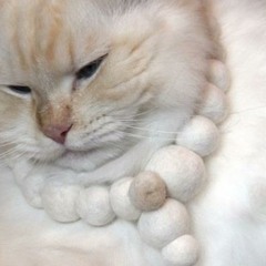 Space and Time and Right Behind