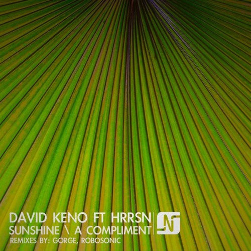 David Keno ft HRRSN - "Sunshine (Robosonic Club Dub)" - NOIR Music