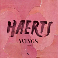 HAERTS - Wings (Wildcat! Wildcat! Remix)