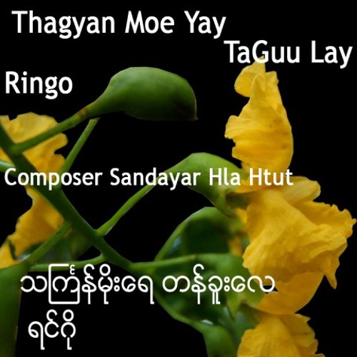- 04 - Thingyan Moe Yay Taguu Lay - Ringo သႀကၤန္မိုးေရ တန္ခူးေလ ~ ရင္ဂို
