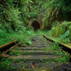 Little Drop of Poison