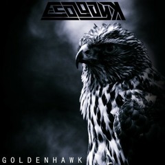 E-Cologyk - Golden Hawk (TOER Remix)