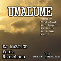 Muzi Gp ft.Mr Ntatshana - Umalume (Pirahnahead Mix) [preview]