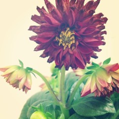 130329a_moment (바라봐 주지 않아도)