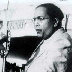 Ambedkar Speech in the Constituent Assembly
