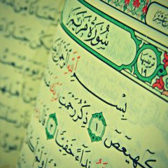 سورة مريم - الشيخ أحمد حمود - إمام مسجد السنة - الهلالية