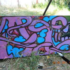 True colors (vocals Space Gimp produced by De Scholar)